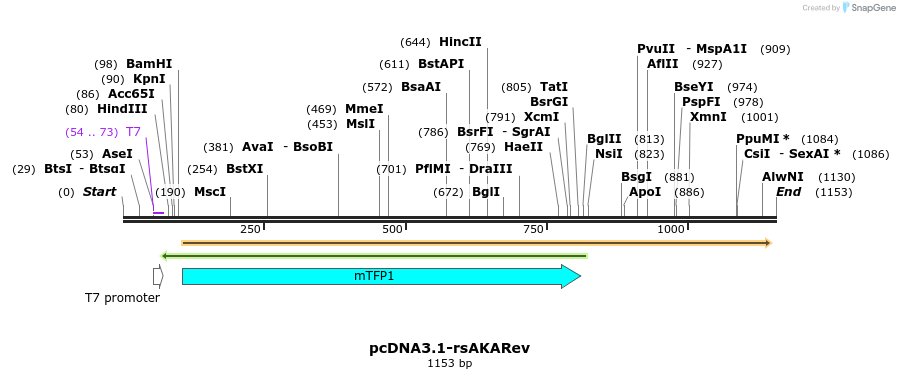 322842_map