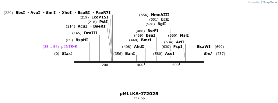 32285_map