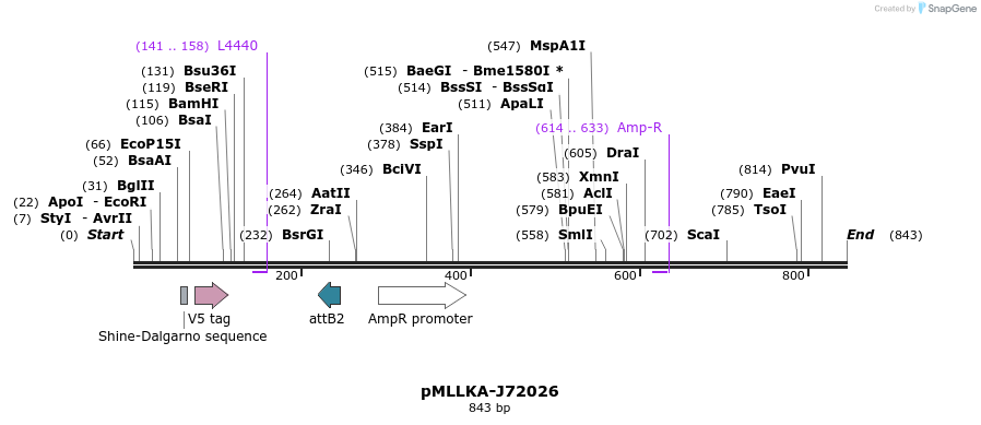 32286_map