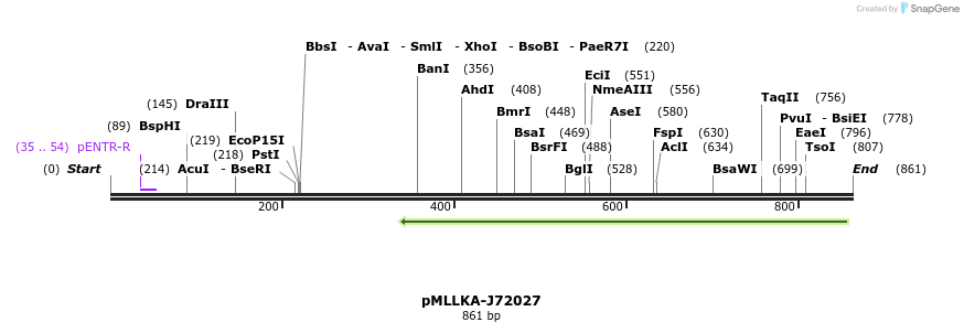32287_map