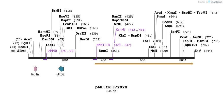 32288_map