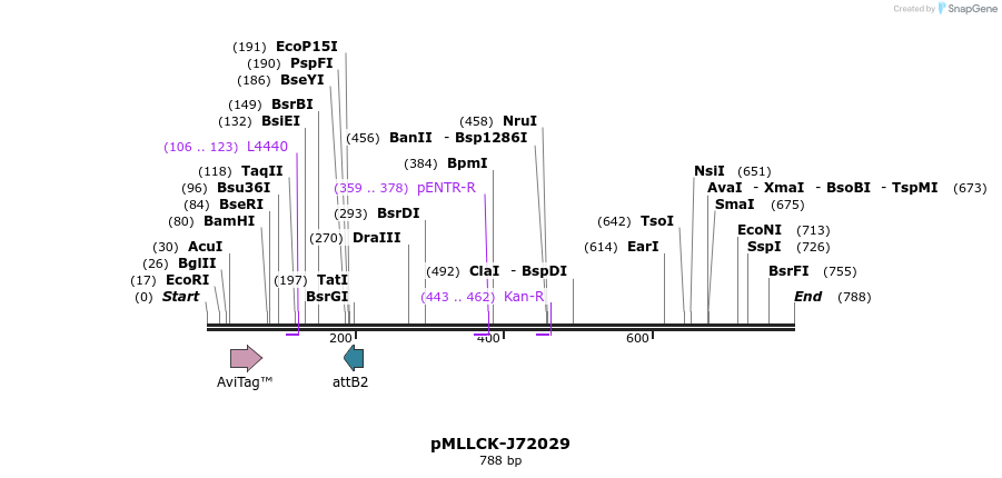 32289_map