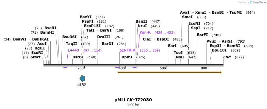 32290_map