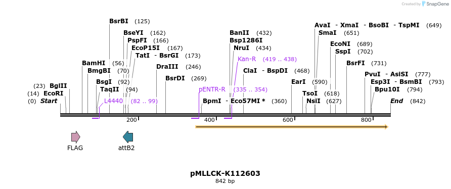 32291_map