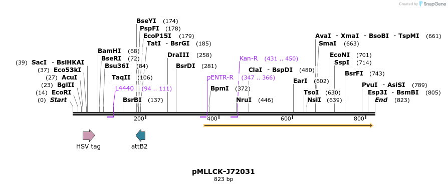 32293_map