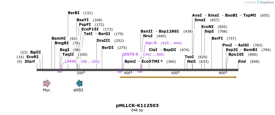 32294_map