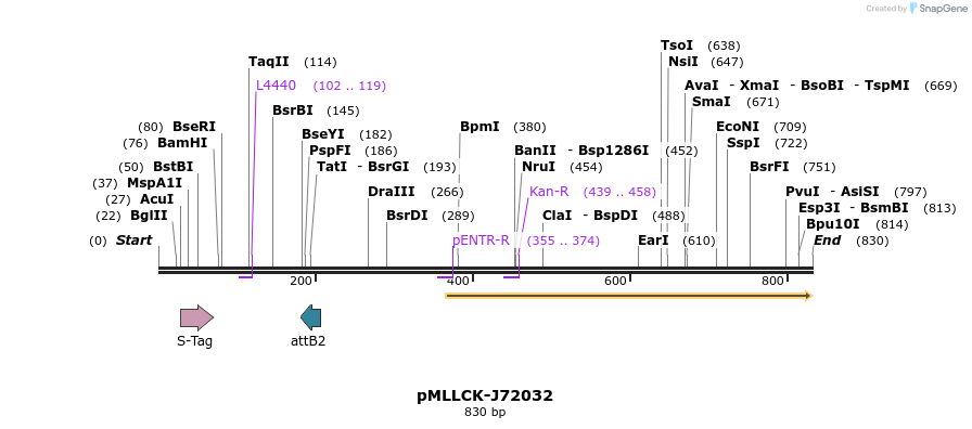 32295_map