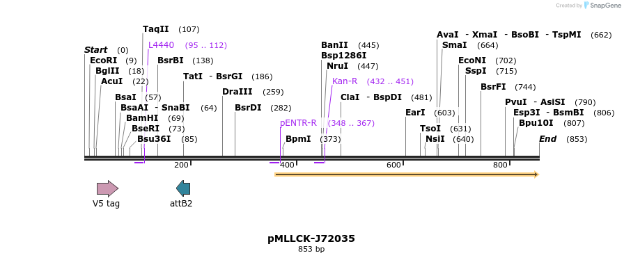 32298_map