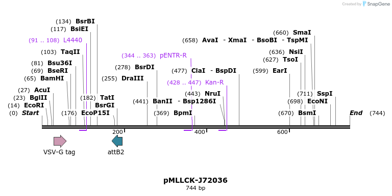 32299_map