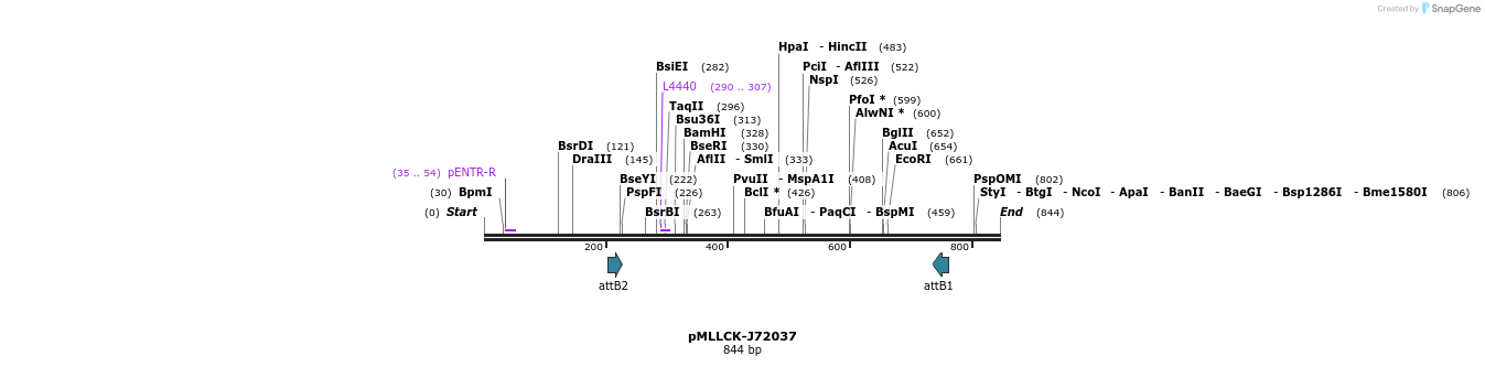 32300_map