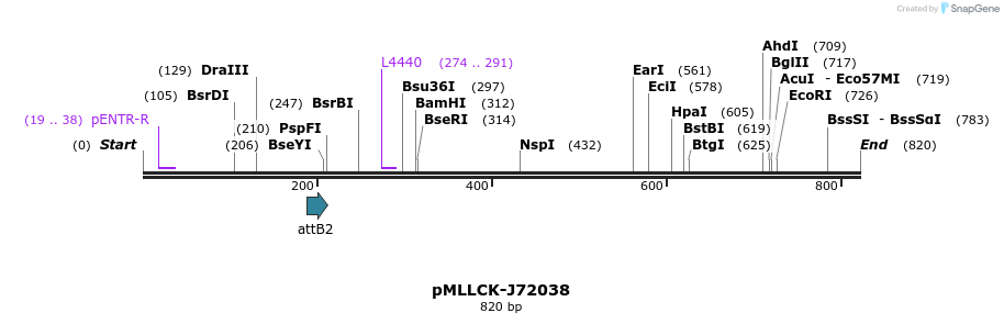 32301_map