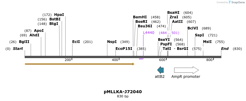 32303_map