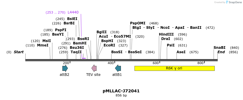 32304_map