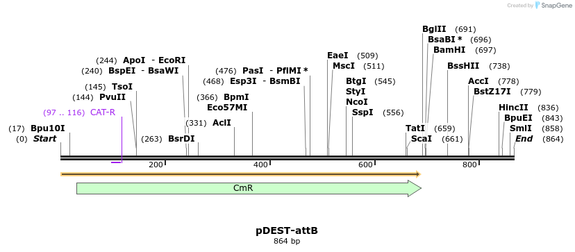 32306_map