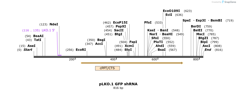 32311_map