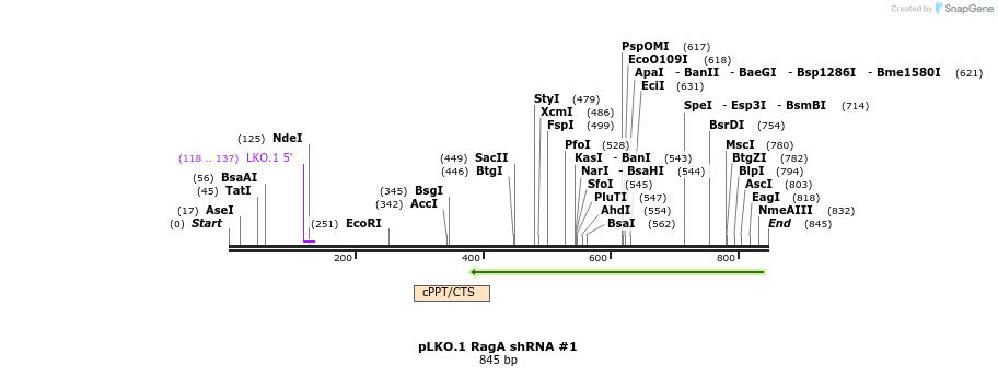 32313_map
