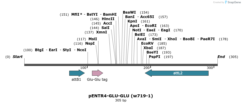 32317_map