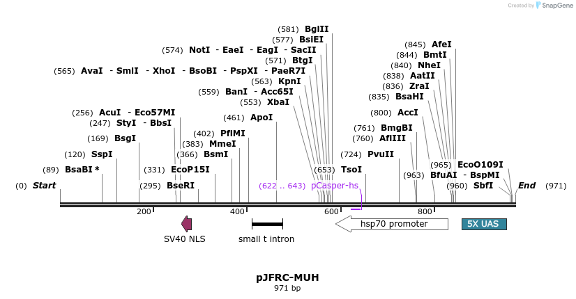 32319_map