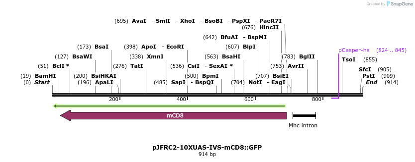32321_map