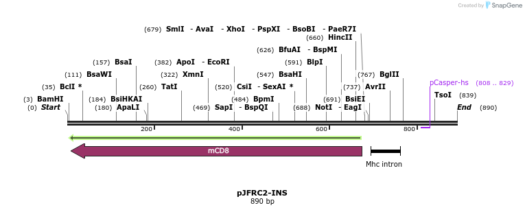 32323_map