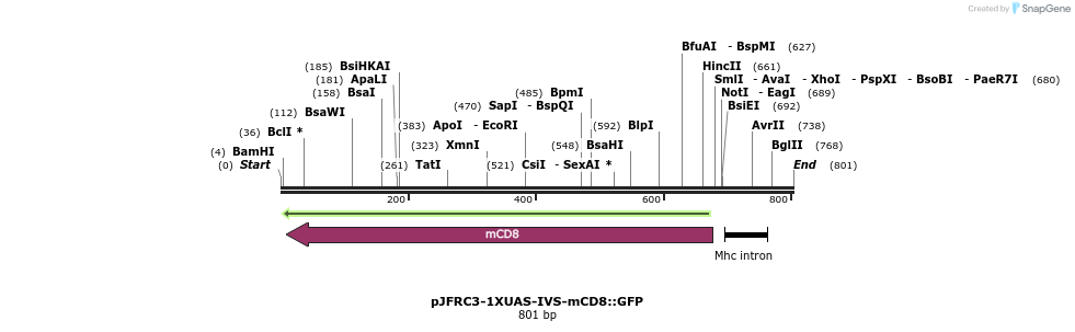 32325_map
