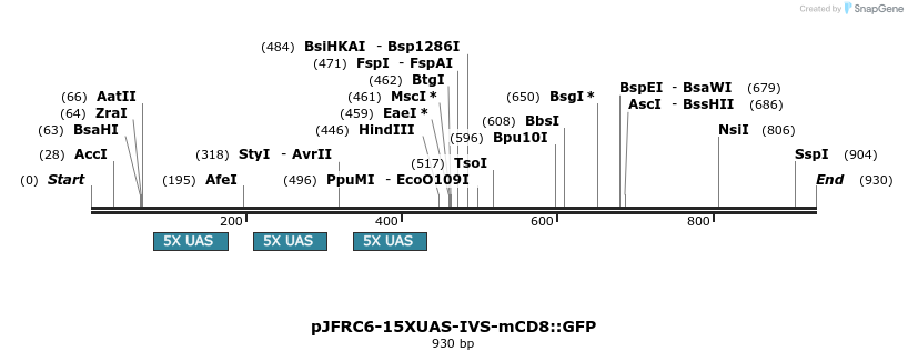 32330_map