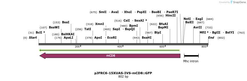 32331_map