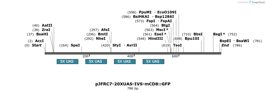 32332_map