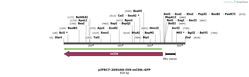 32333_map