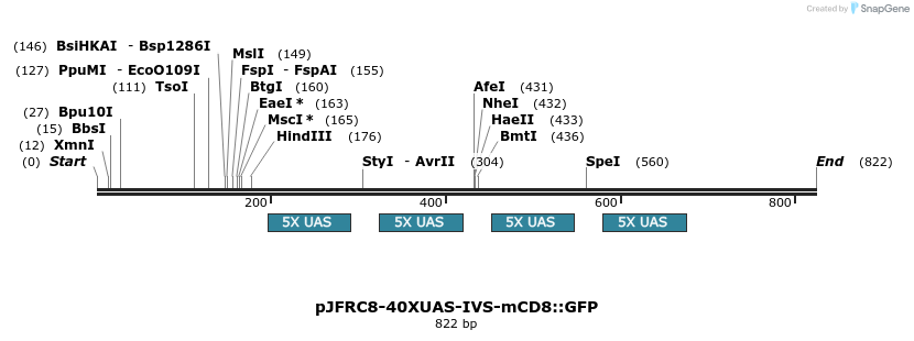 32334_map
