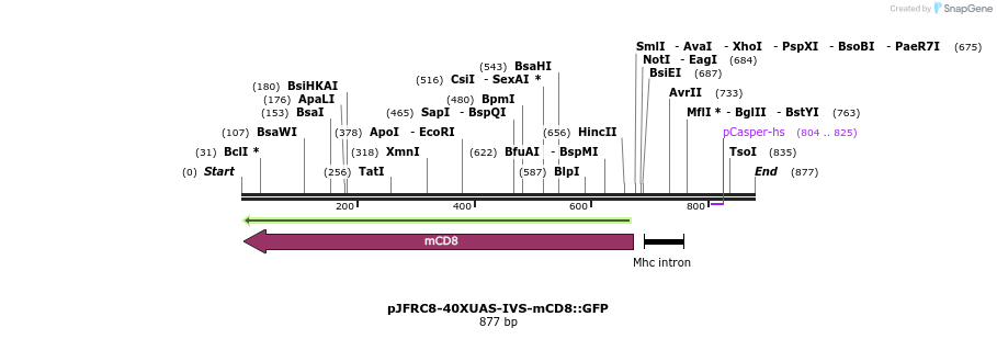 32336_map