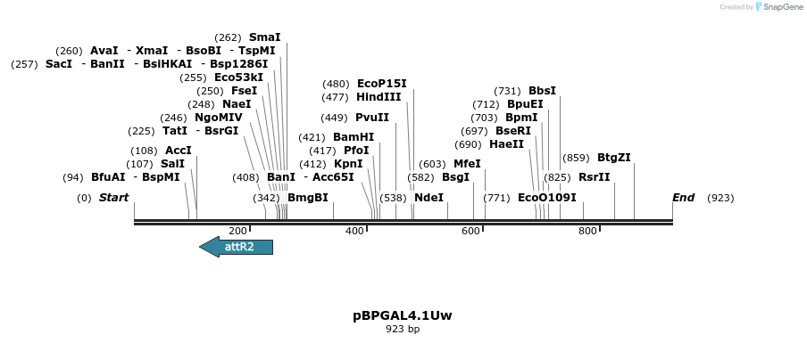 32345_map