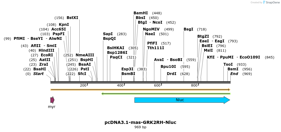 323512_map