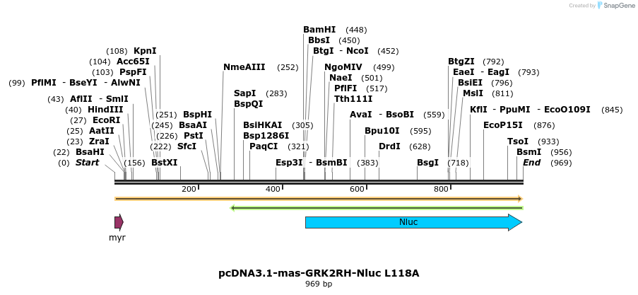 323520_map