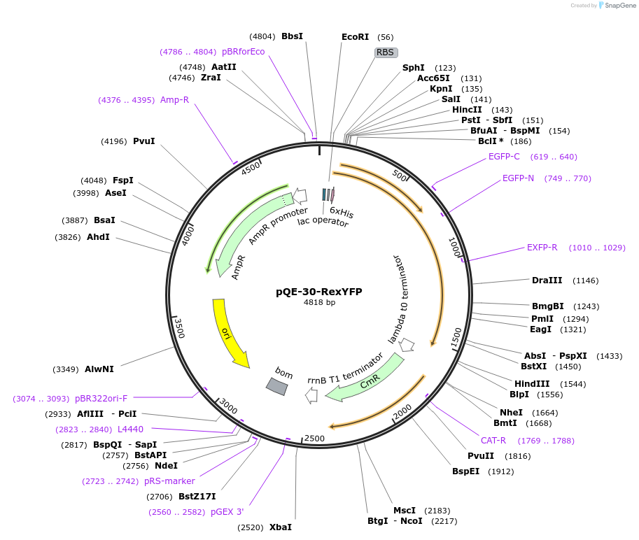 323577_map