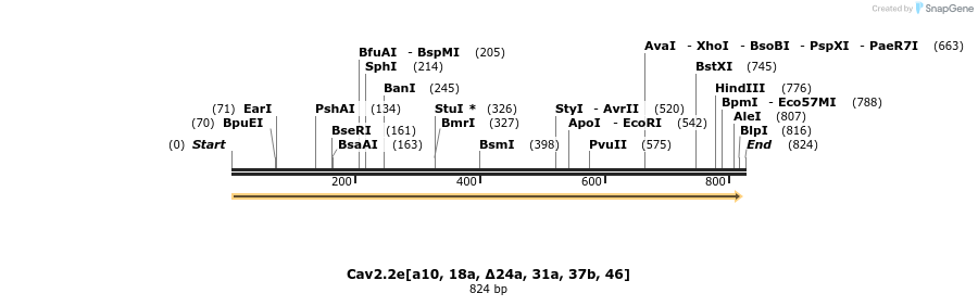 32363_map