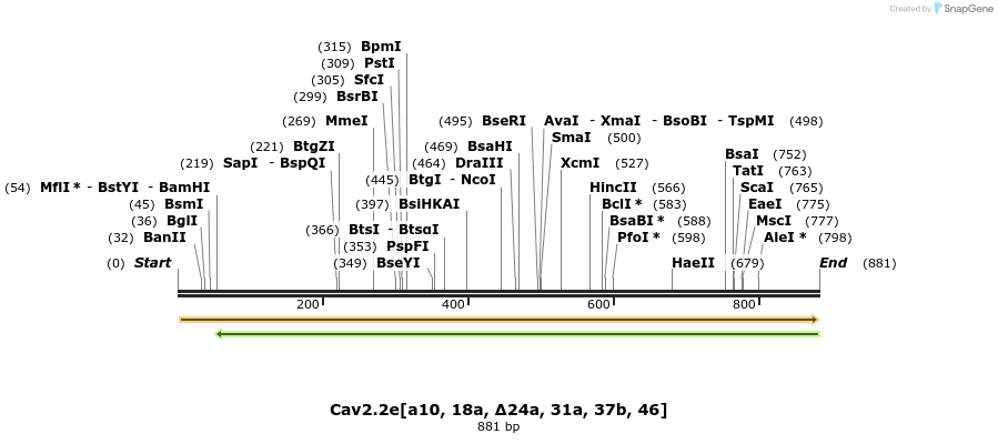 32364_map