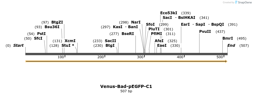 323659_map