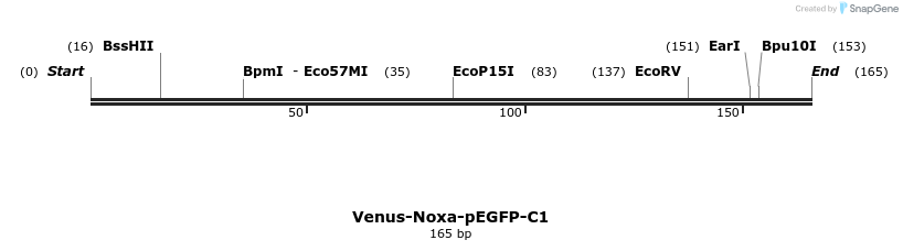 323669_map