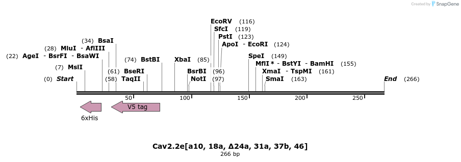 32367_map