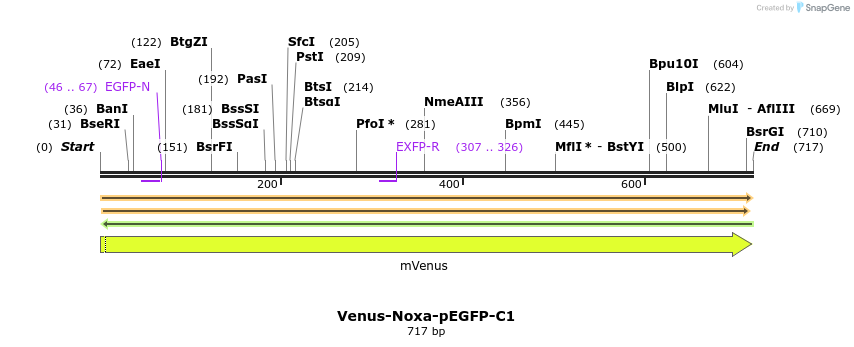 323670_map