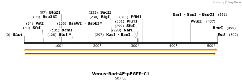 323673_map