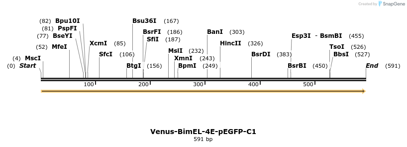 323677_map