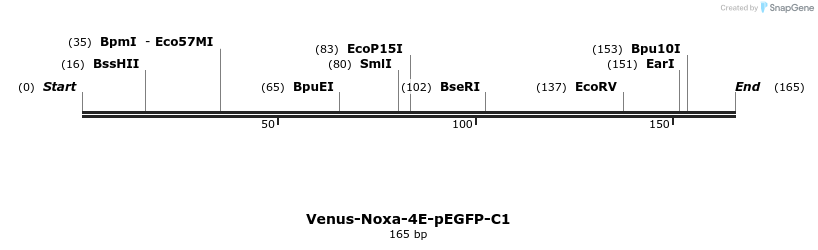 323683_map