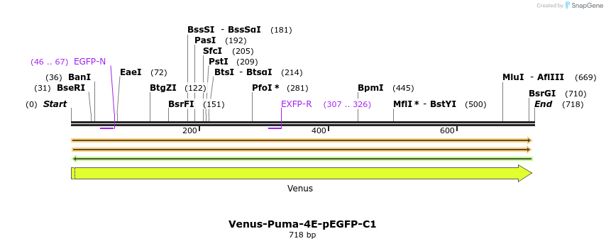 323686_map
