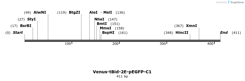 323687_map