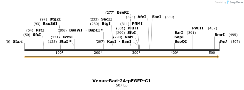 323689_map