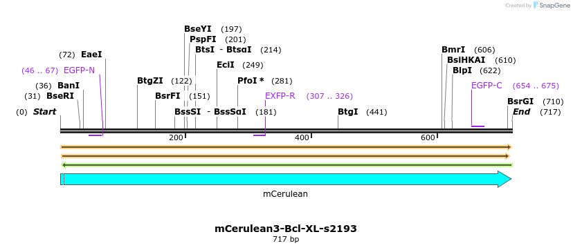 323691_map
