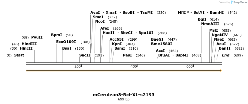 323692_map