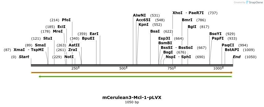 323698_map